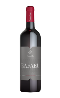 Rafael Tinto