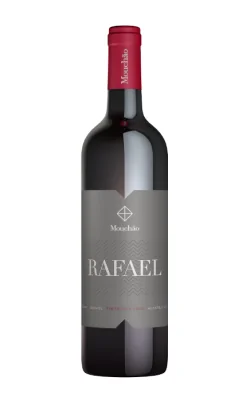 Rafael Tinto