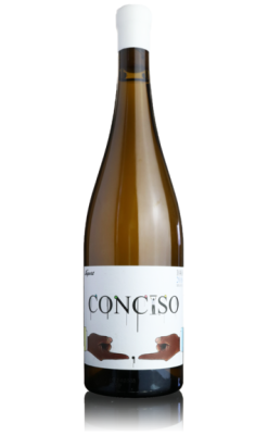 Conciso Branco 2023