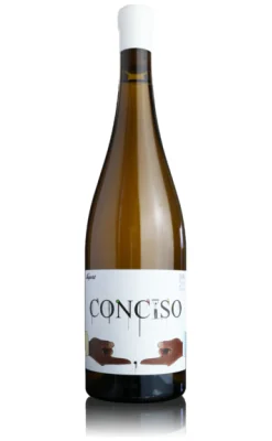 Conciso Branco 2023