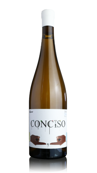 Conciso Branco 2023