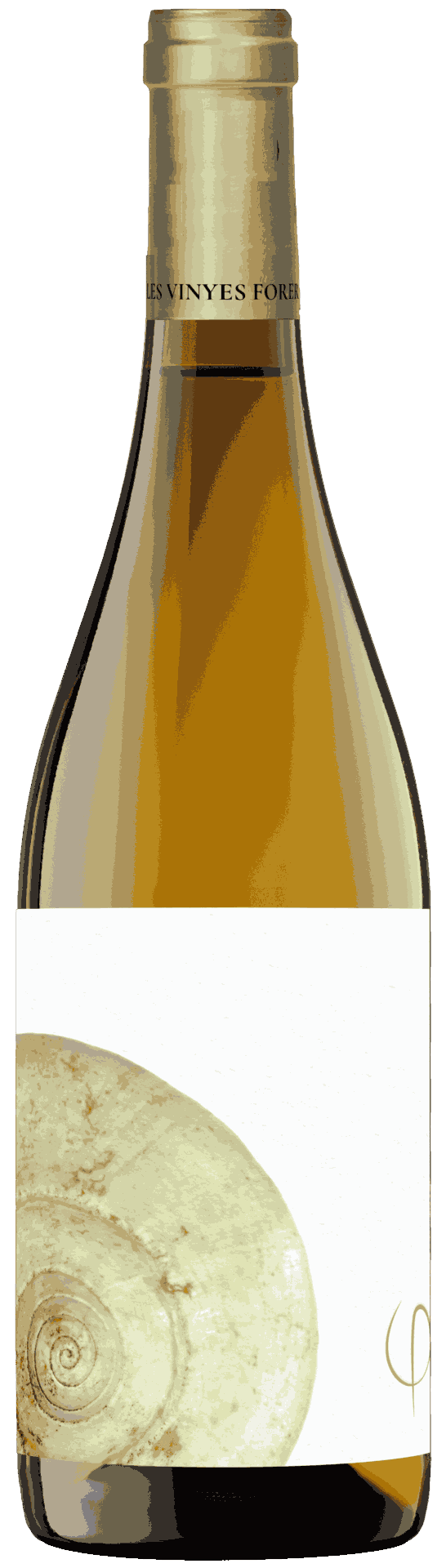 Bellesa Perfecta White 2023